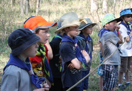201505230948590654 (80 visits) 201505230948590654